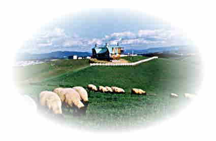 羊と雲の丘